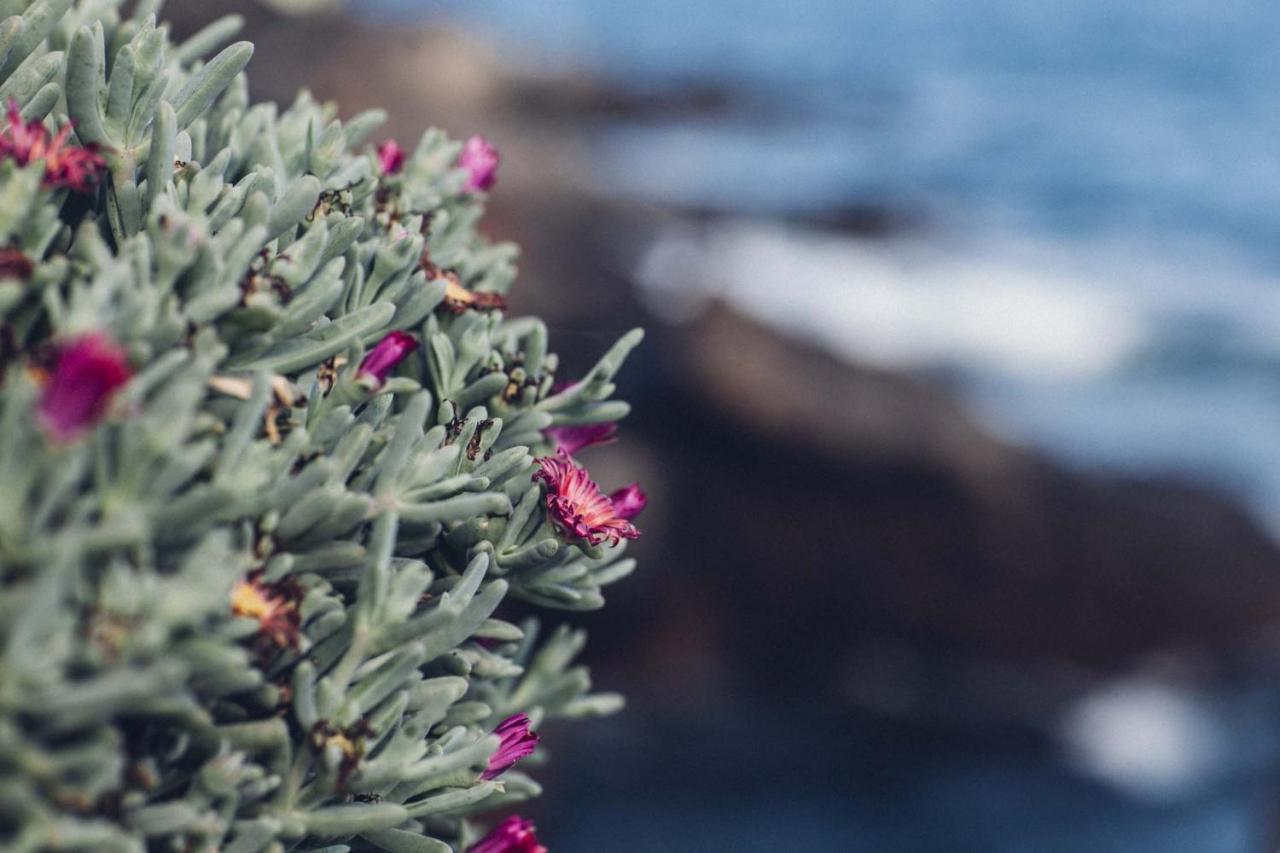 Canary Casita Next To The Atlantic Ocean Radazul エクステリア 写真