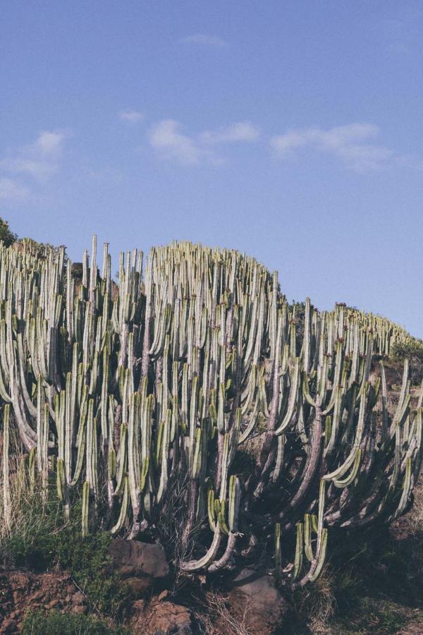 Canary Casita Next To The Atlantic Ocean Radazul エクステリア 写真