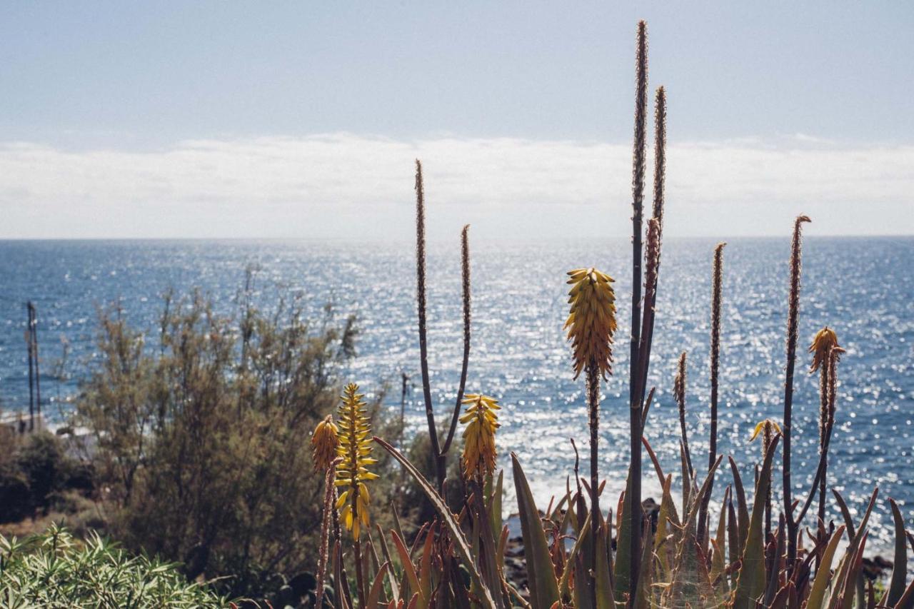 Canary Casita Next To The Atlantic Ocean Radazul エクステリア 写真