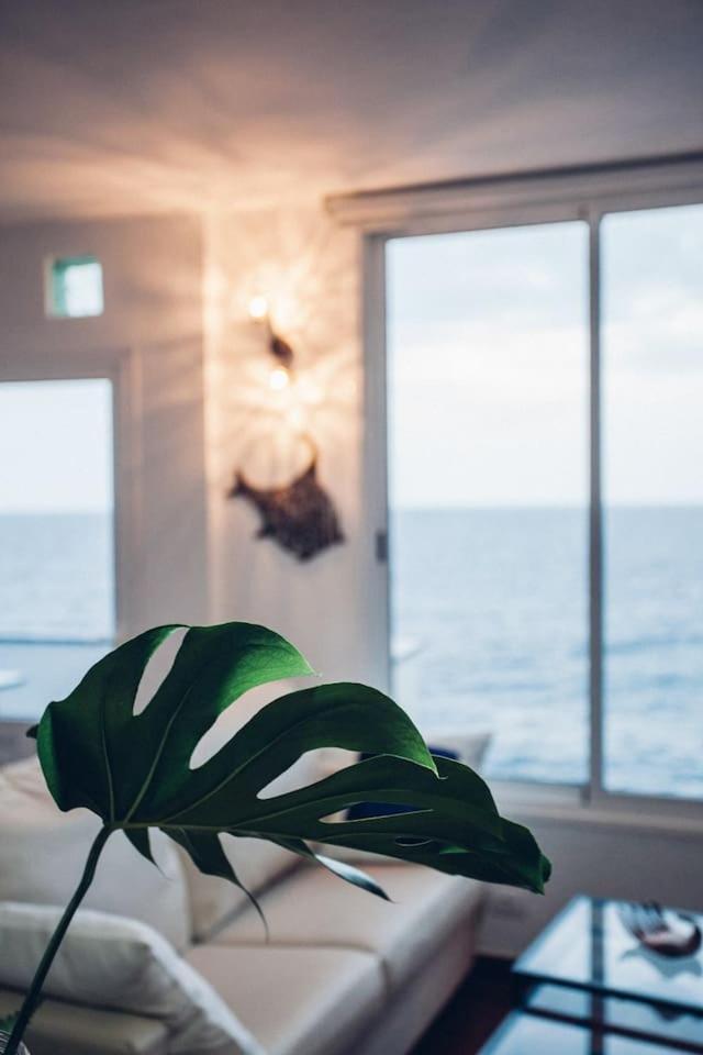 Canary Casita Next To The Atlantic Ocean Radazul 部屋 写真