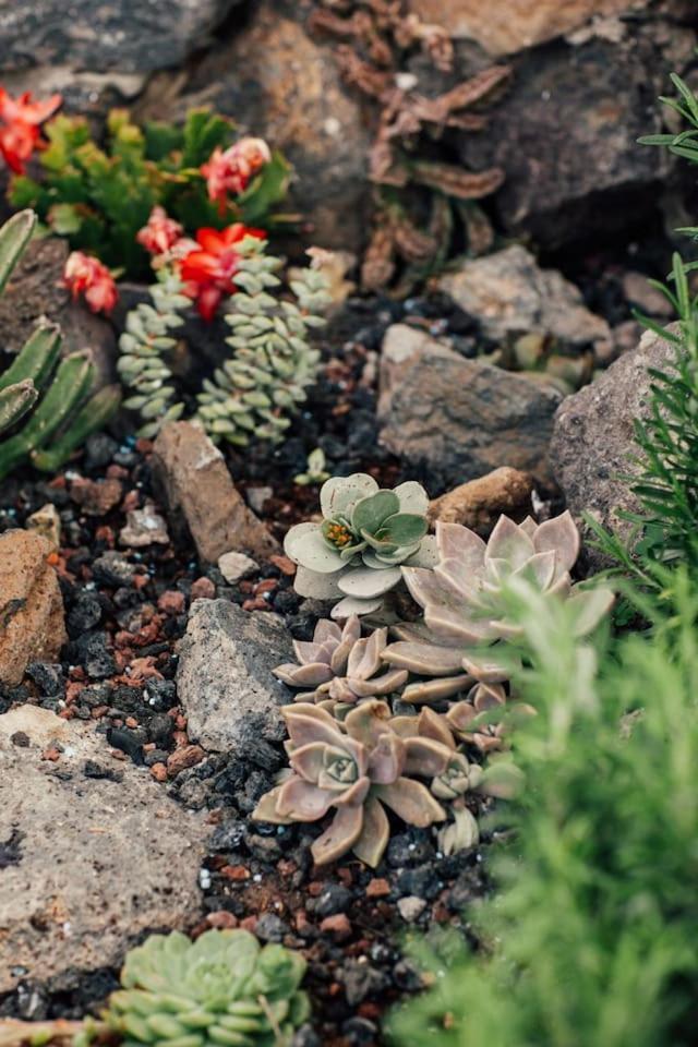 Canary Casita Next To The Atlantic Ocean Radazul 部屋 写真
